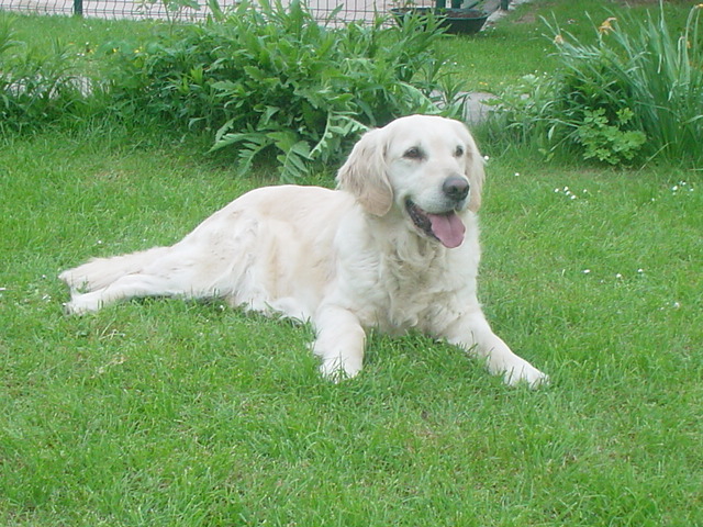 Roxanne
